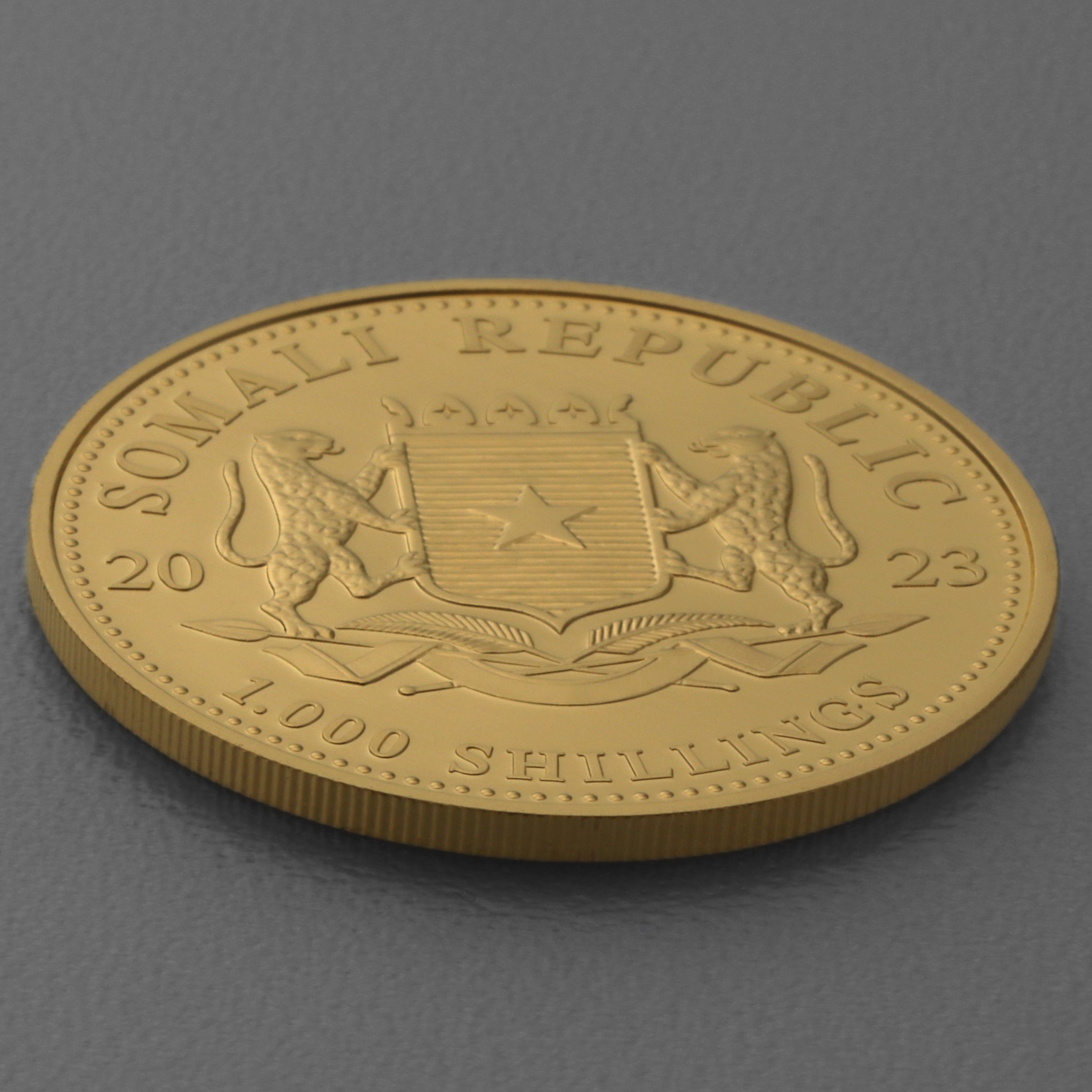 Goldmünze 1oz "Elefant" 2023 African Wildlife (Somalia) - Detailansicht 2