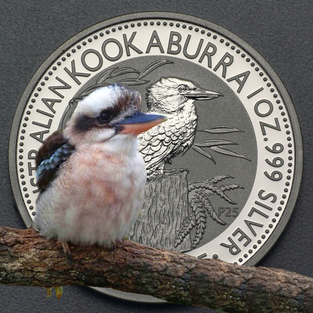Silbermünze 1oz "Kookaburra" 2015 (Australien) - Detailansicht 4