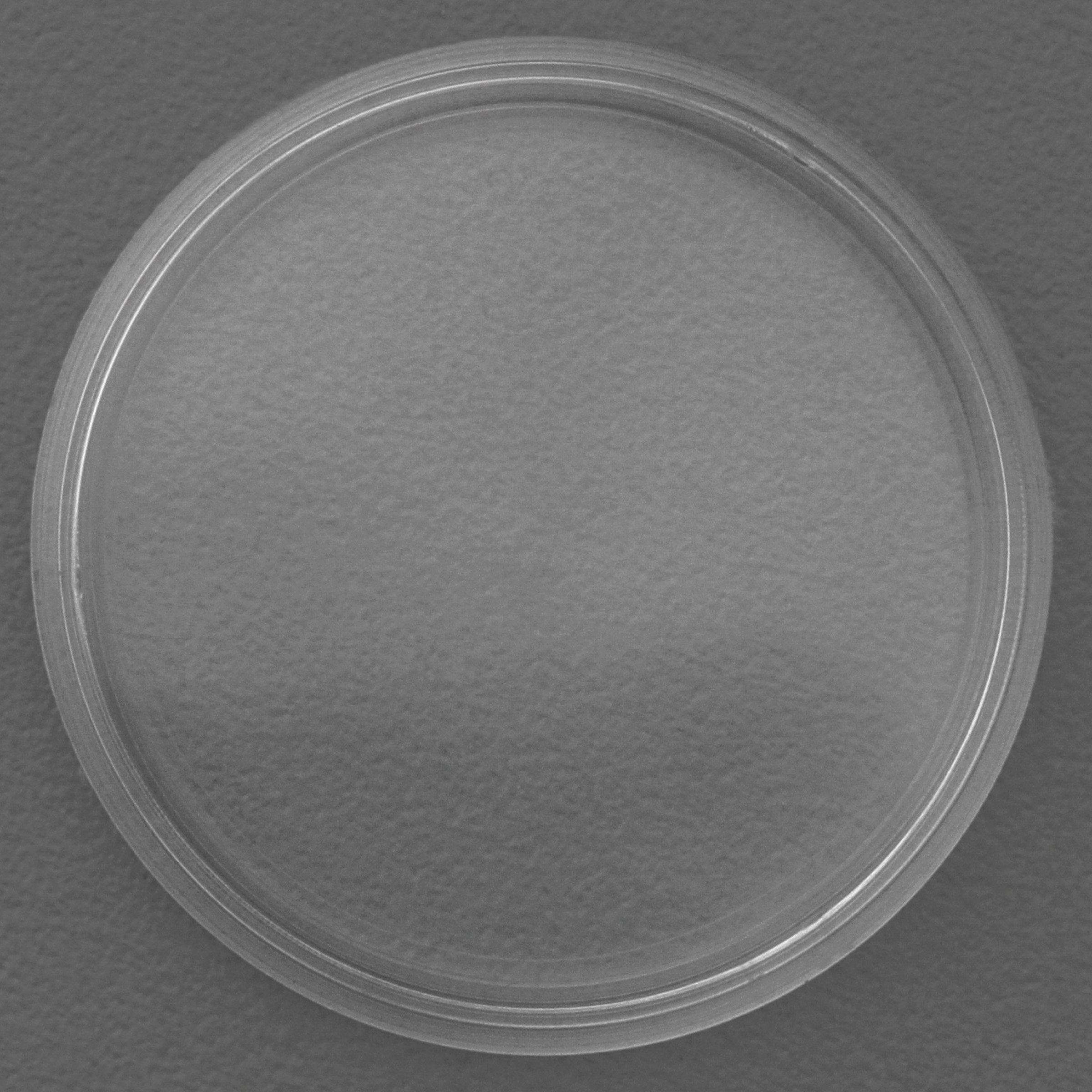 Münzkapseln 38mm 10er-Packung - Detailansicht 1