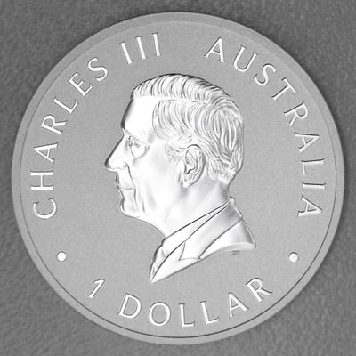 Silbermünze 1oz "Kookaburra" 2024 diff. (Australien) - Miniaturansicht 2