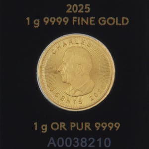 Goldmünzen 25 x 1g "Maple Leaf" aktueller Jahrgang Set 25-teilig Maplegram25™ (Kanada) - Miniaturansicht 4