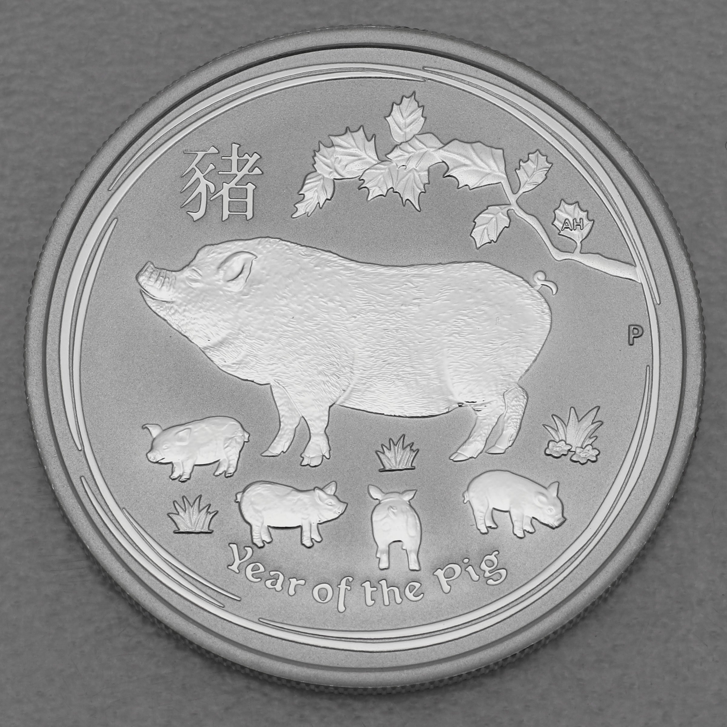 Silbermünze 1/2oz "Schwein" 2019 Lunar II – Year of the Pig (Australien) - Hauptansicht