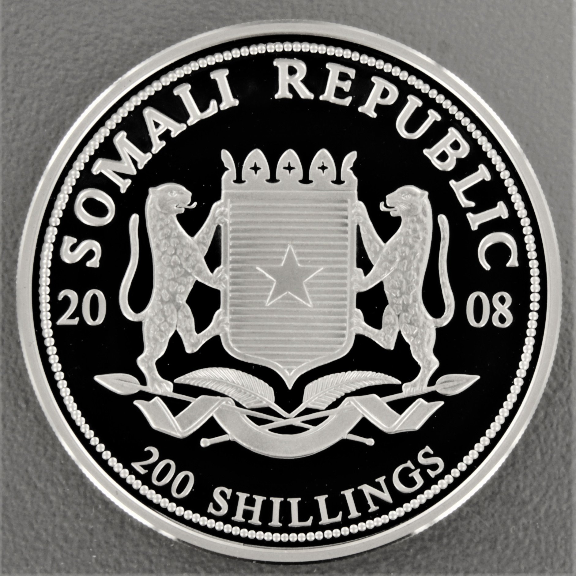Silbermünze 2oz "Elefant" 2008 African Wildlife (Somalia) - Detailansicht 1