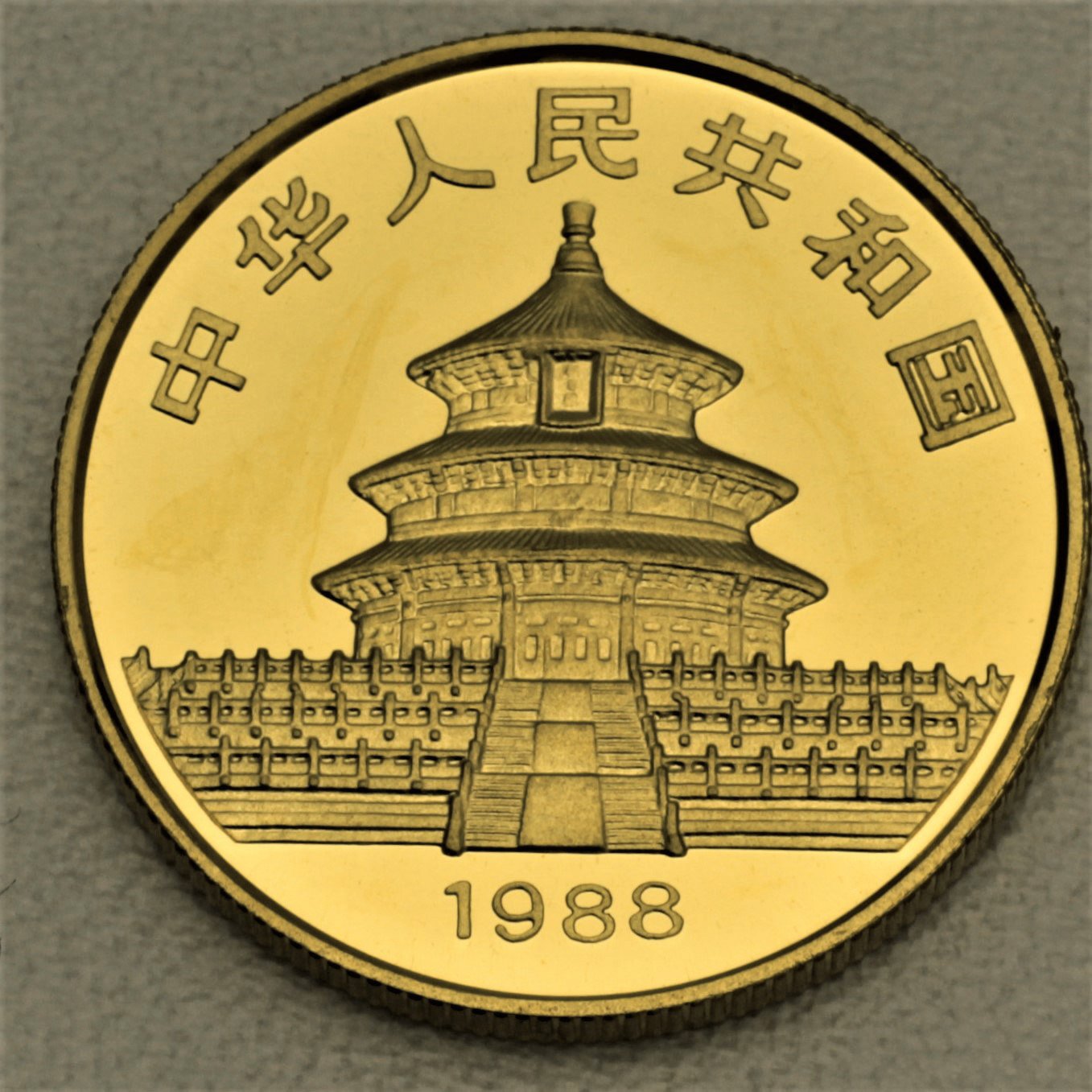 Goldmünze 1/2oz "Panda" 1988 (China) - Detailansicht 1