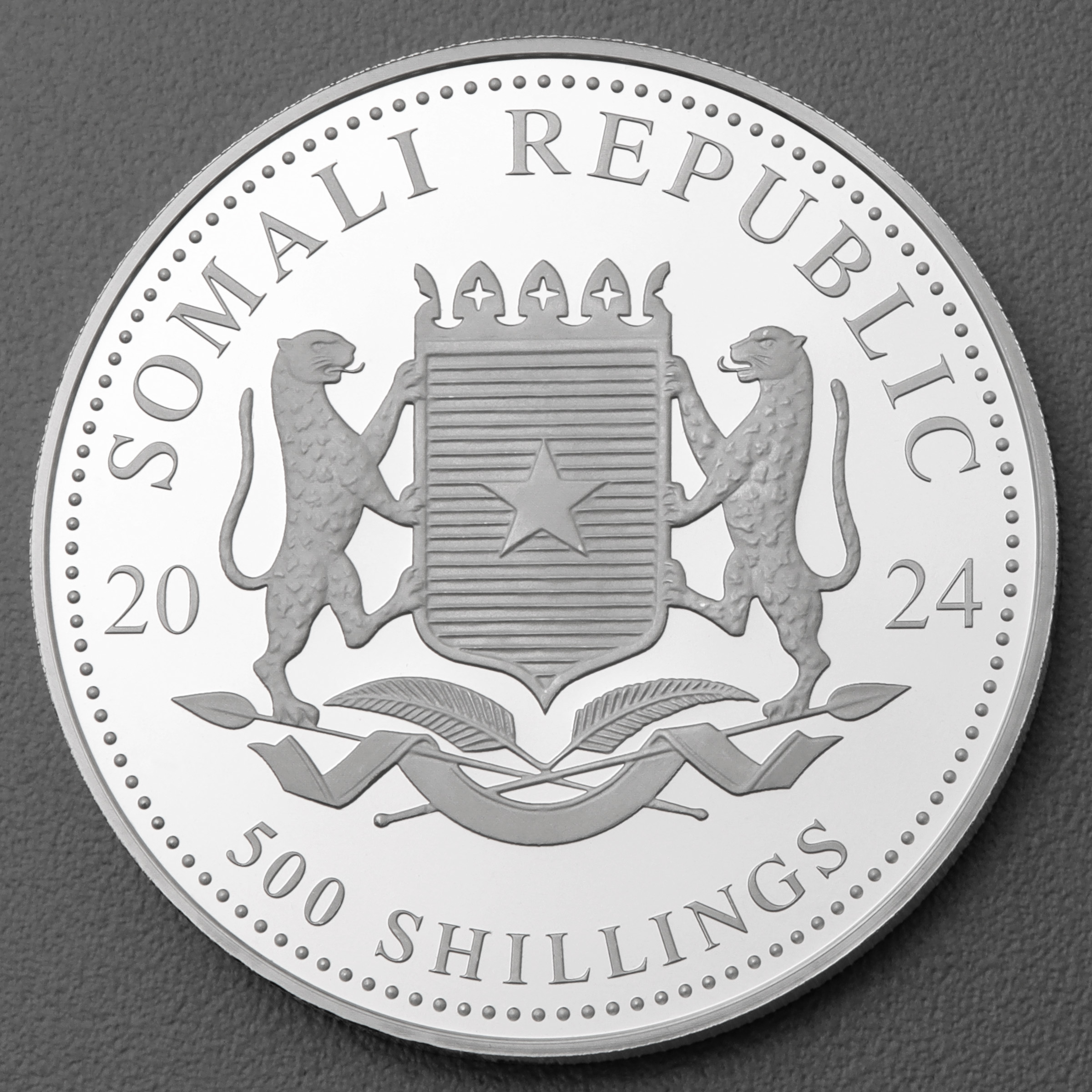 Silbermünze 5oz "Elefant" 2024 African Wildlife diff. (Somalia) - Detailansicht 1