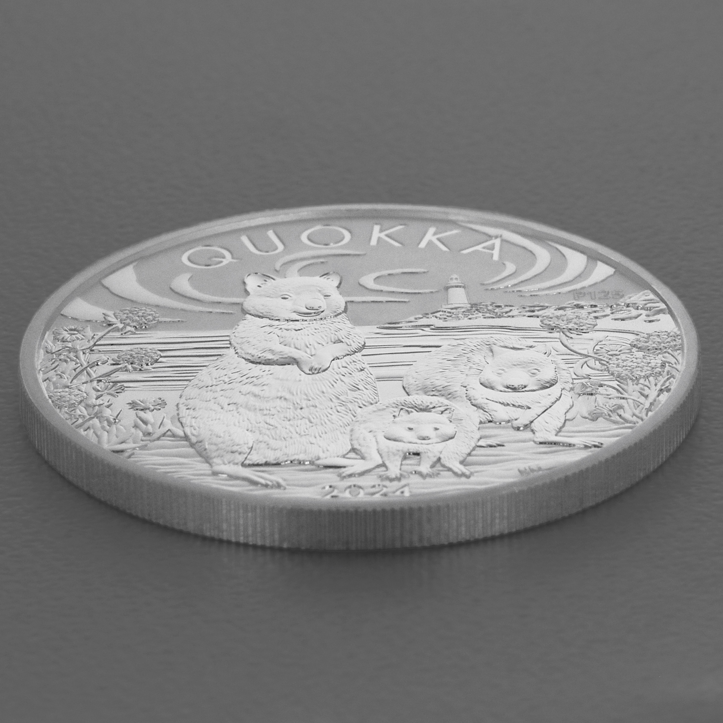 Silbermünze 1oz "Quokka" 2024 (Australien) - Detailansicht 2