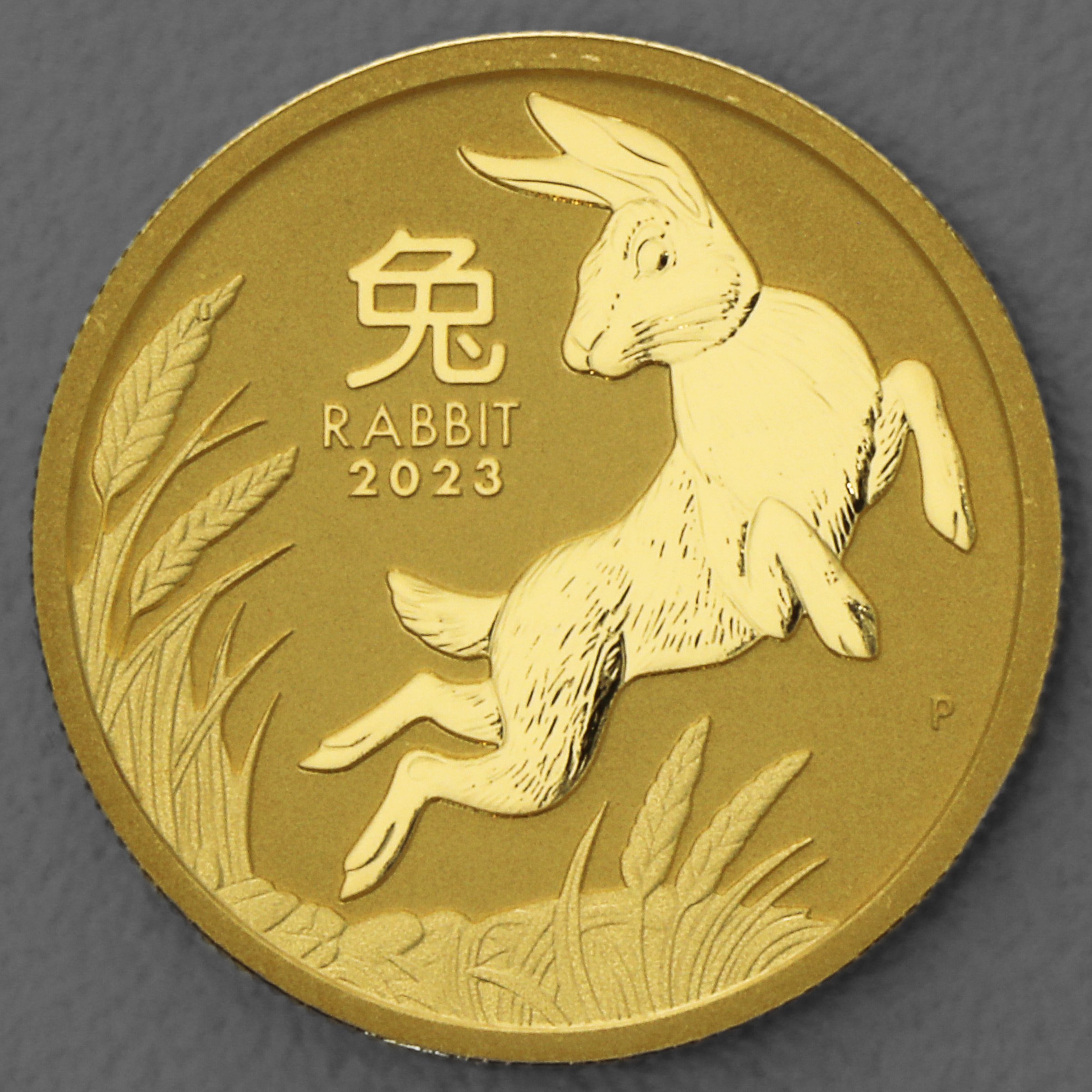 Goldmünze 1/2oz "Hase" 2023 Lunar III – Year of the Rabbit (Australien) - Hauptansicht