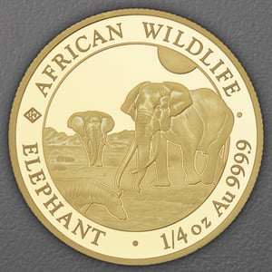 Goldmünze 1/4oz "Elefant" 2026 African Wildlife (Somalia) - Hauptansicht