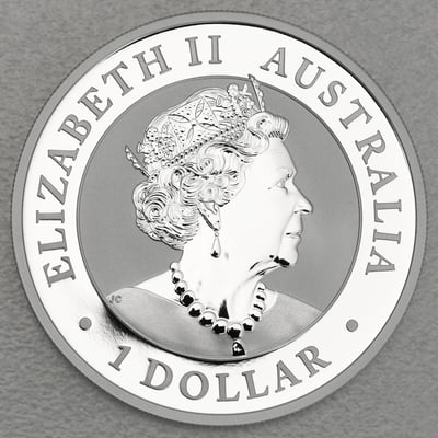 Silbermünze 1oz "Koala" 2021 (koloriert) Brisbane Money Expo Anda Special (Australien) - Miniaturansicht 2