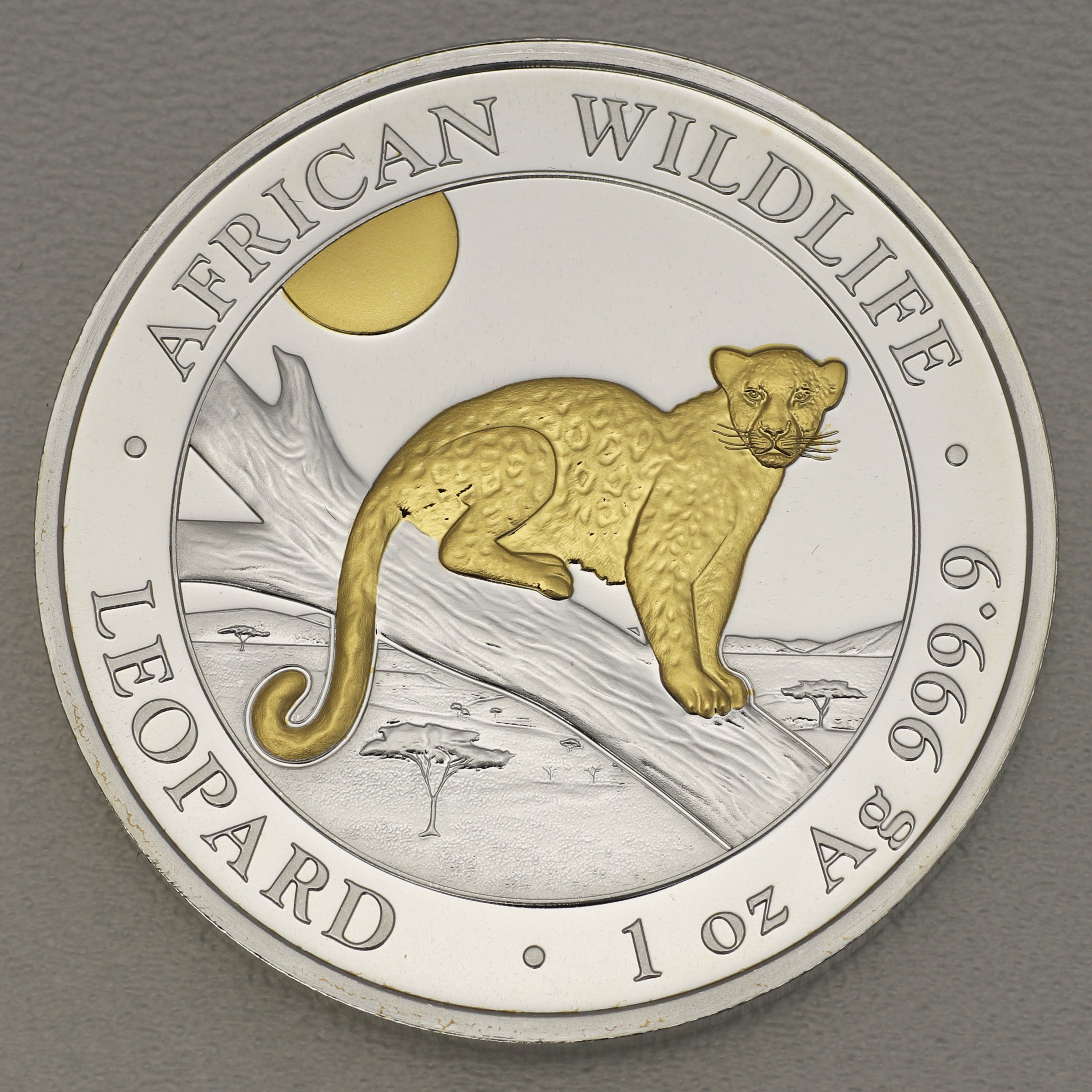 Silbermünze 1oz "Leopard" 2021 (vergoldet) African Wildlife (Somalia) - Hauptansicht