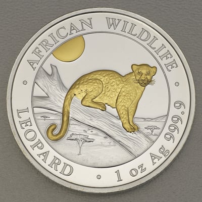 Silbermünze 1oz "Leopard" 2021 (vergoldet) African Wildlife (Somalia) - Hauptansicht