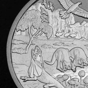 Platinmünze 1oz "The Outback" 2026 Wonders of Australia 19% (Australien) - Miniaturansicht 5