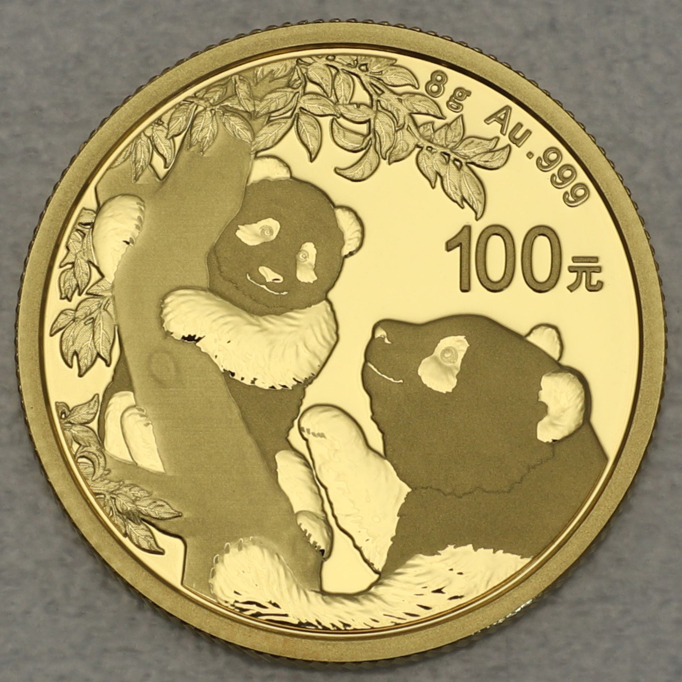 Goldmünze 8g "Panda" 2021 (China) - Hauptansicht