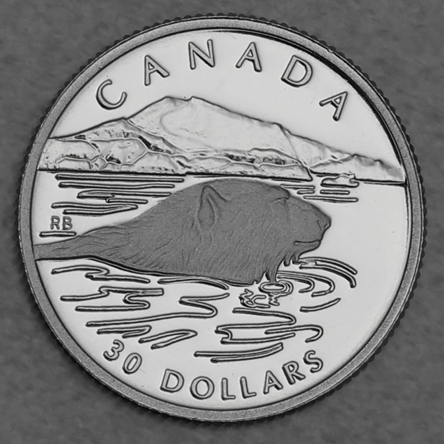 Platinmünze 1/10oz "Polar Bear" 1990 Wildlife Canada (Kanada) - Hauptansicht