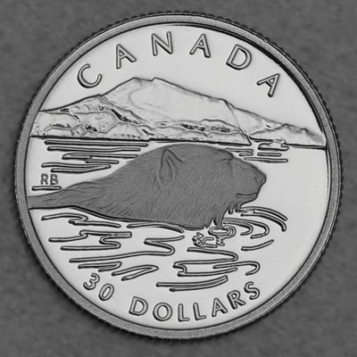 Platinmünze 1/10oz "Polar Bear" 1990 Wildlife Canada (Kanada) - Miniaturansicht 1
