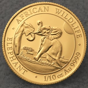 Goldmünze 1/10oz "Elefant" 2024 African Wildlife (Somalia) - Miniaturansicht 5