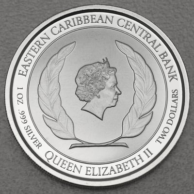 Silbermünze 1oz "Brown Pelican" 2019 Eastern Caribbean 8 (St. Kitts & Nevis) - Miniaturansicht 2