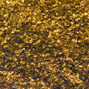 "Rheingold/Flussgold" 1g (Naturgold) - Miniaturansicht 3