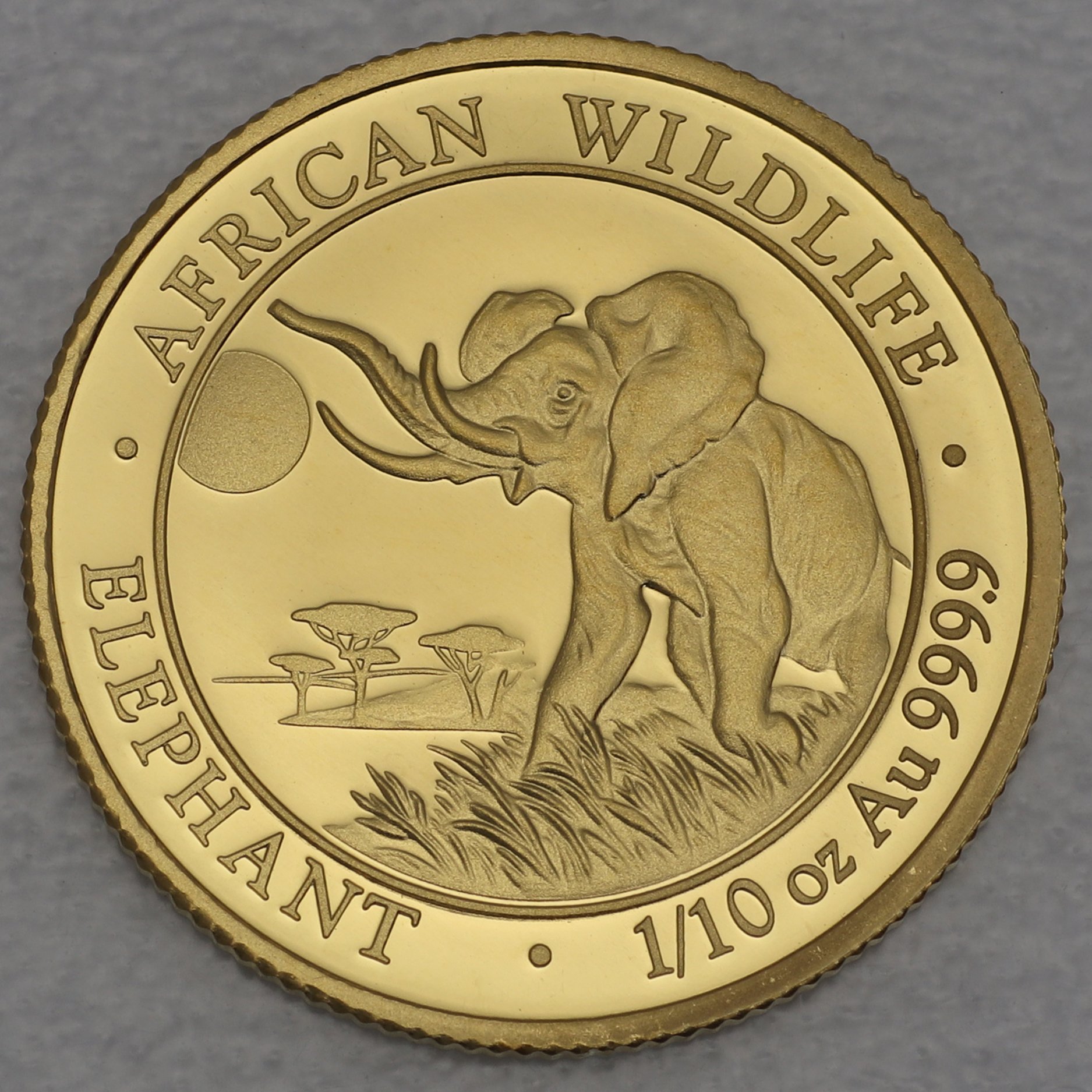 Goldmünze 1/10oz "Elefant" 2016 African Wildlife (Somalia) - Hauptansicht