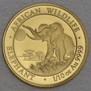 Goldmünze 1/10oz "Elefant" 2016 African Wildlife (Somalia) - Hauptansicht