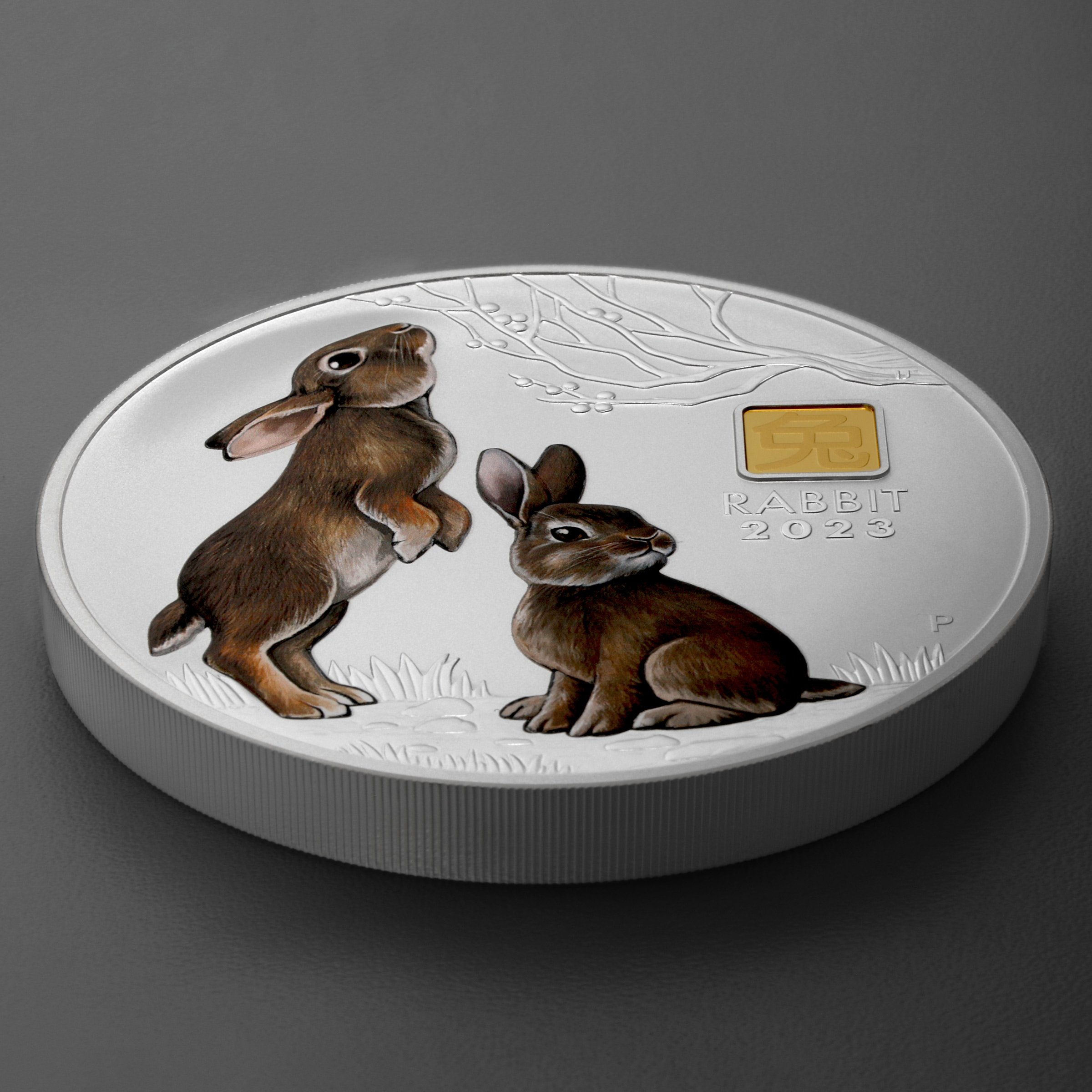 Silbermünze 1kg "Hase" 2023 (koloriert) Gold Privy Mark – Lunar III (Australien) - Detailansicht 2