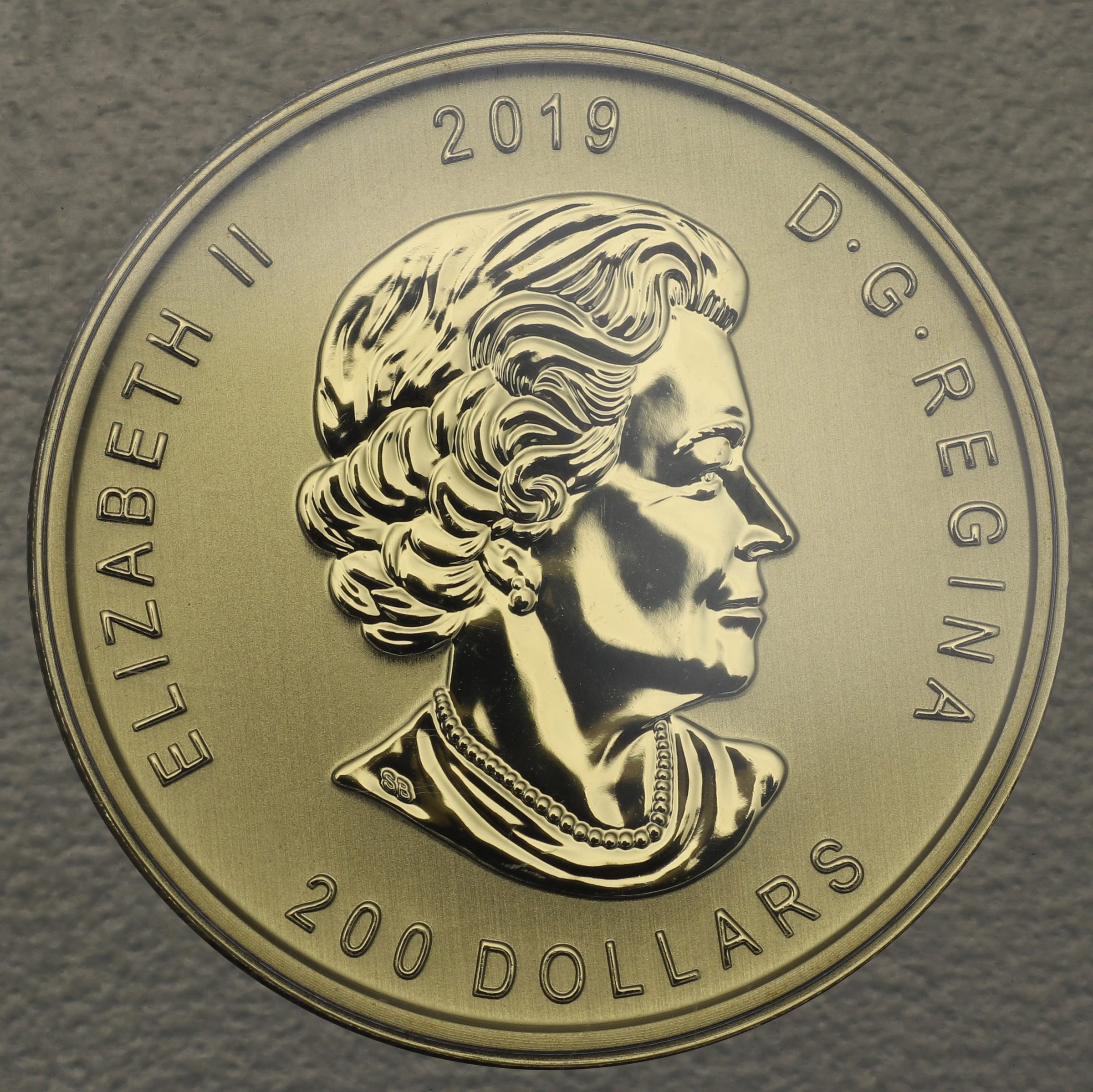 Goldmünze 1oz "Moose" 2019 Call of the wild (Kanada) - Detailansicht 1