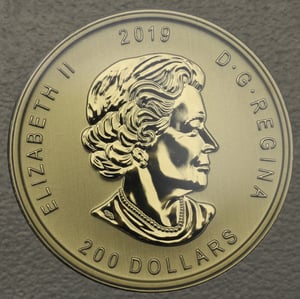 Goldmünze 1oz "Moose" 2019 Call of the wild (Kanada) - Miniaturansicht 2