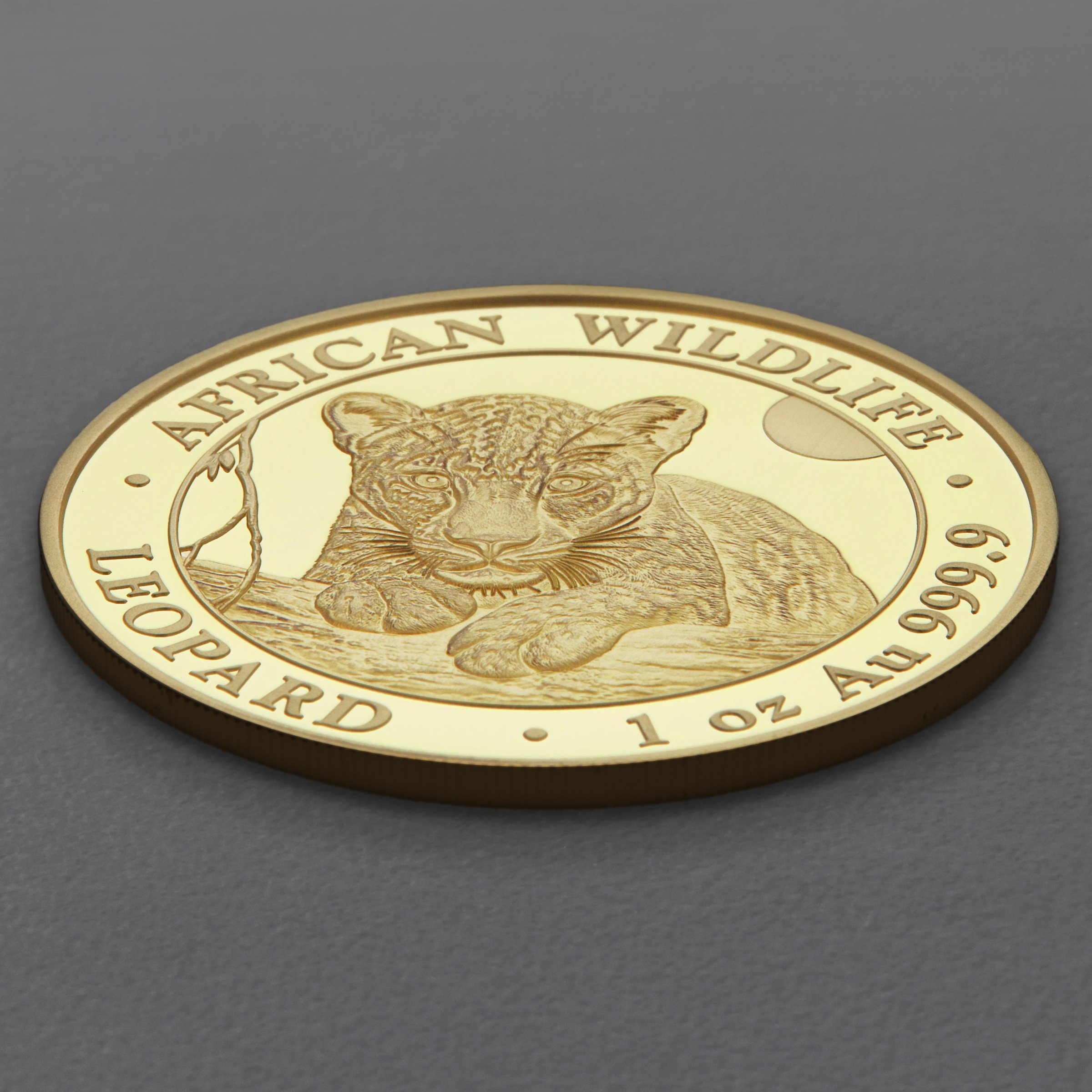 Goldmünze 1oz "Leopard" 2025 African Wildlife (Somalia) - Detailansicht 2