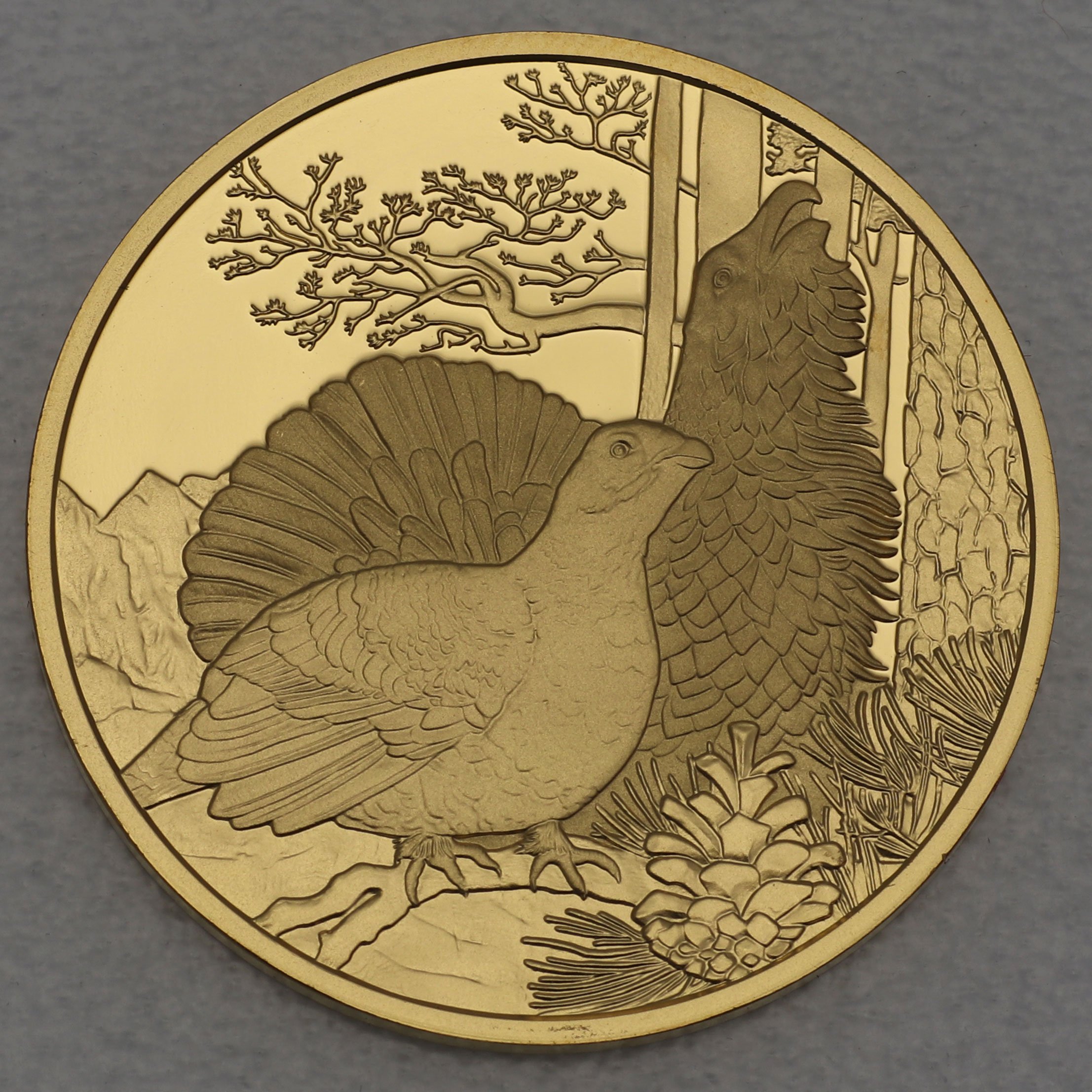 Goldmünze 100 Euro "Auerhahn" 2015 Unseren Wildtieren auf der Spur (Österreich) - Detailansicht 1