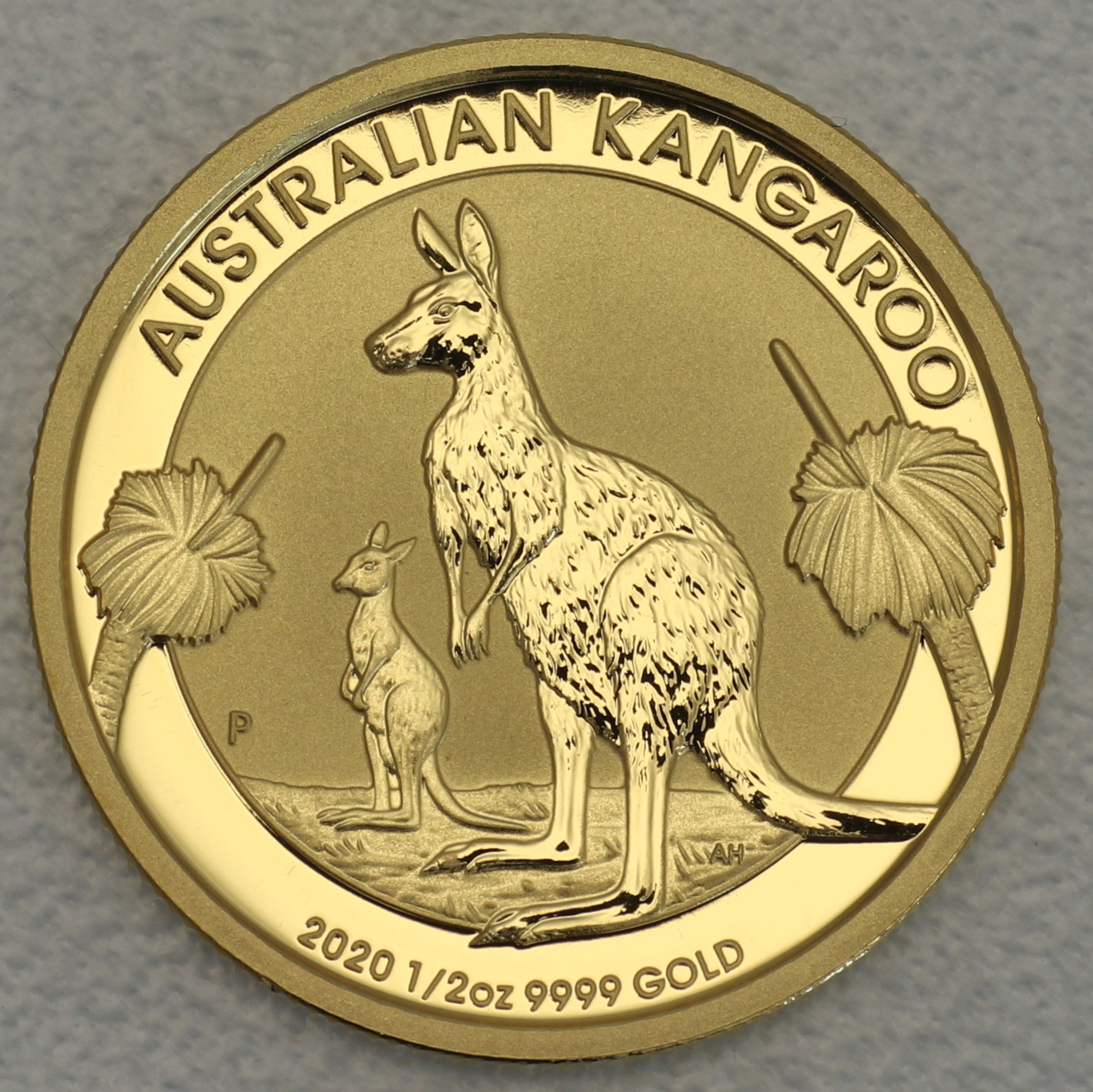 Goldmünze 1/2oz "Känguru" 2020 (Australien) - Hauptansicht