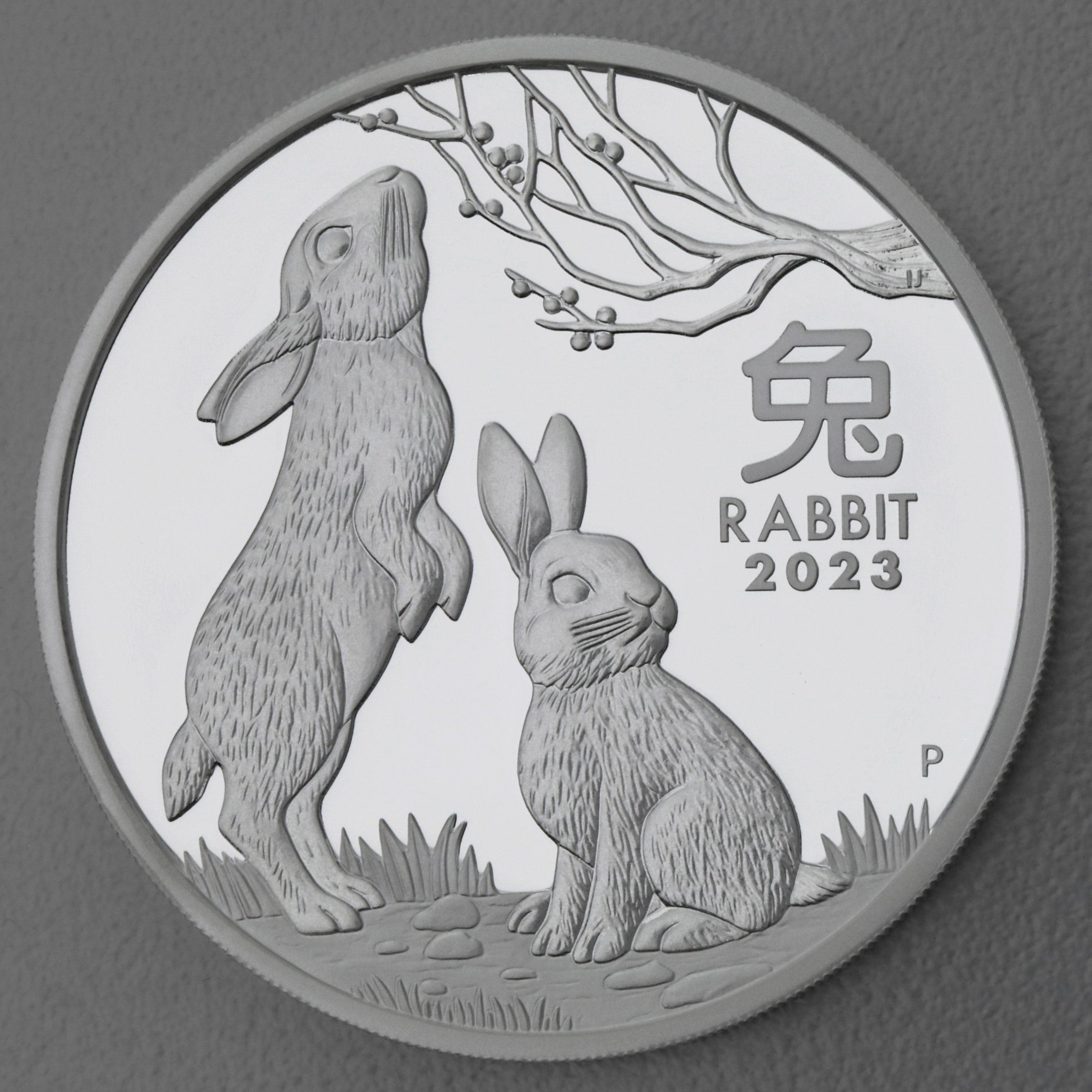 Silbermünzen 2oz + 1oz + 1/2oz "Hase" 2023 (PP) Set – 3-teilig Lunar III (Australien) - Detailansicht 9