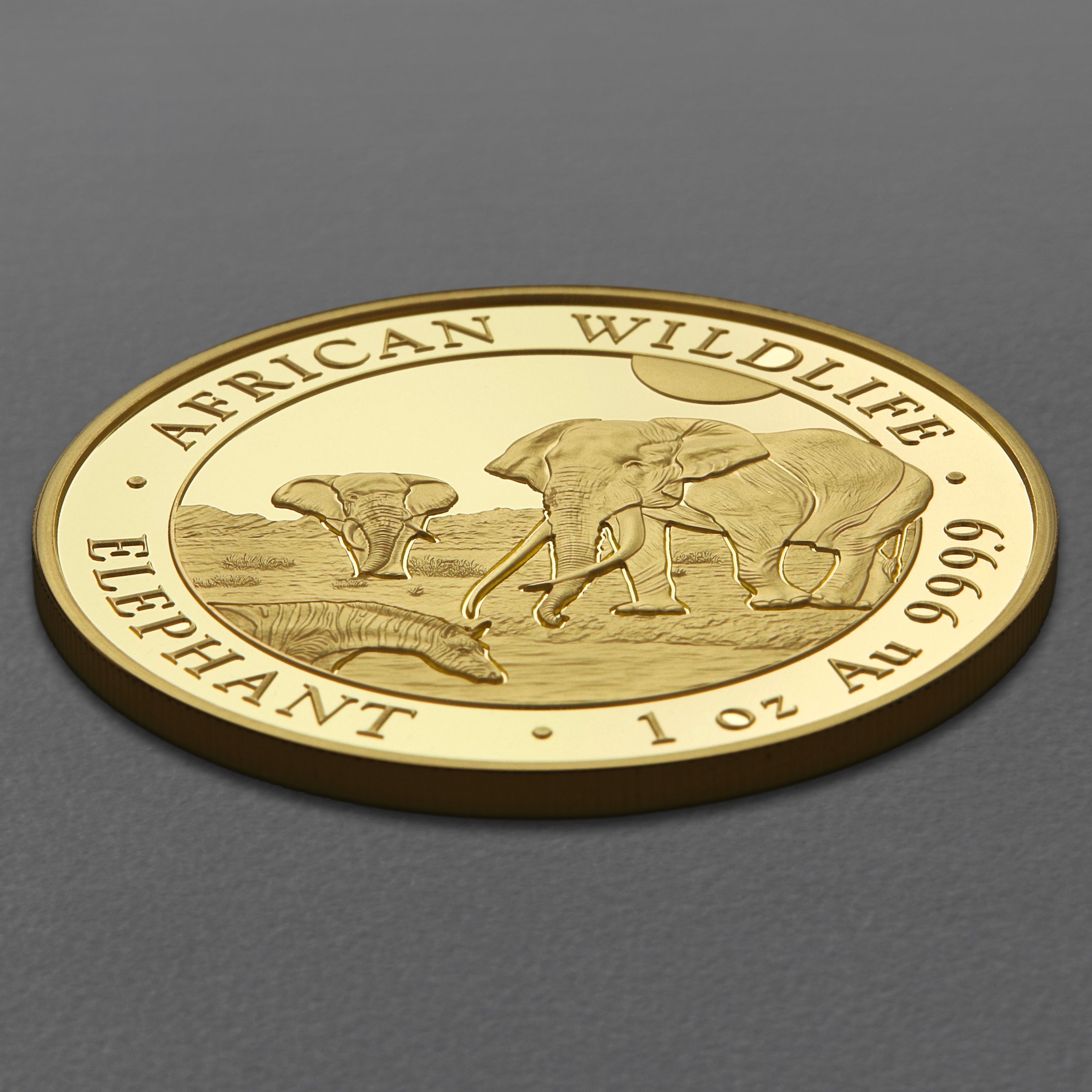 Goldmünze 1oz "Elefant" 2026 African Wildlife (Somalia) - Detailansicht 2