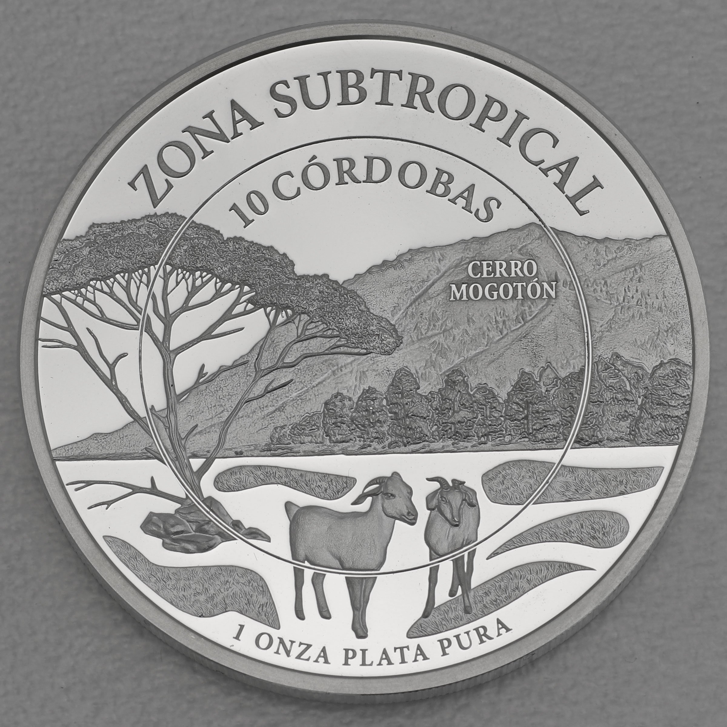 Silbermünze 1oz "Zona Subtropical" 2018 (Nicaragua) - Hauptansicht