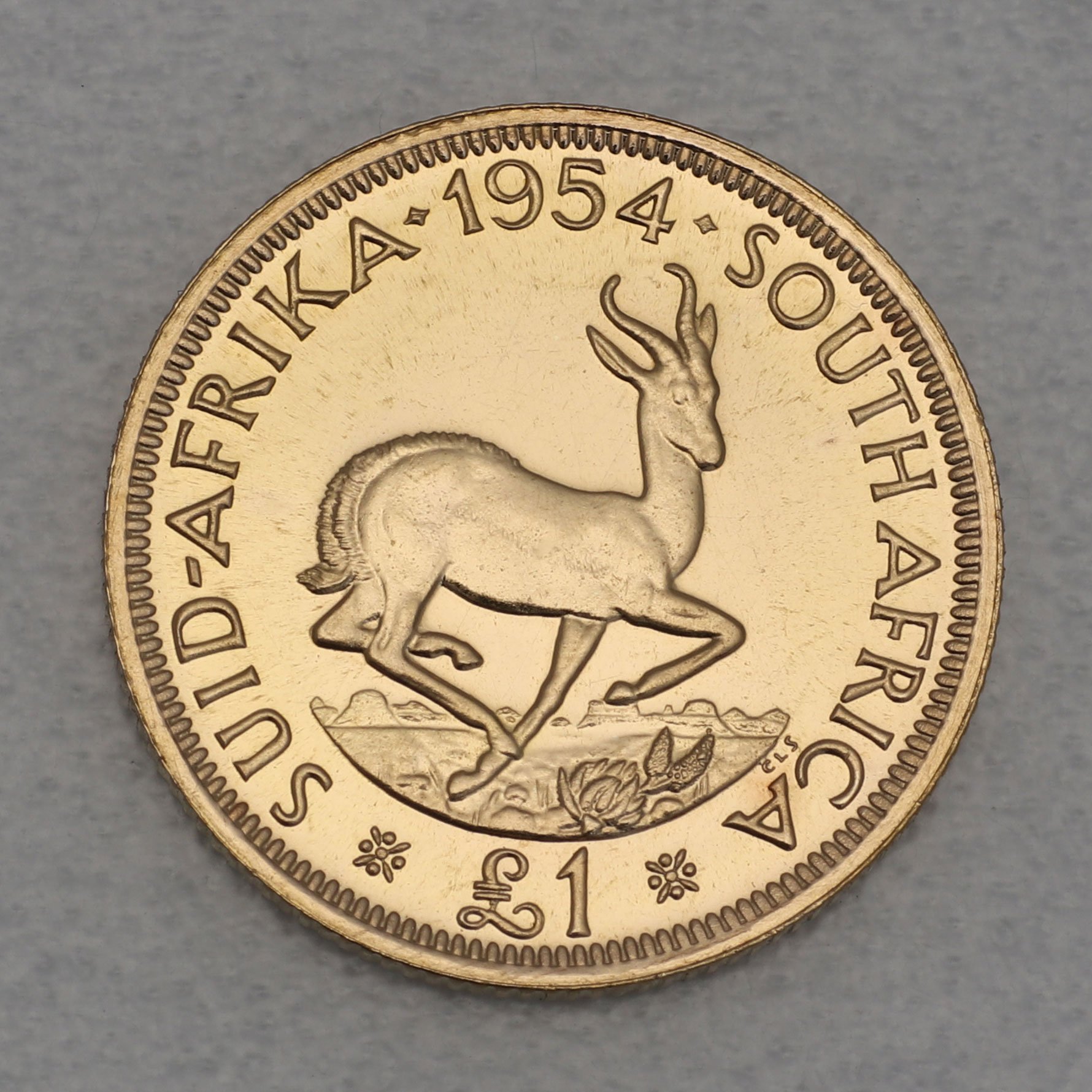 Goldmünze 1 Pound "Elizabeth II." versch. Jahrg. (Südafrika) - Hauptansicht