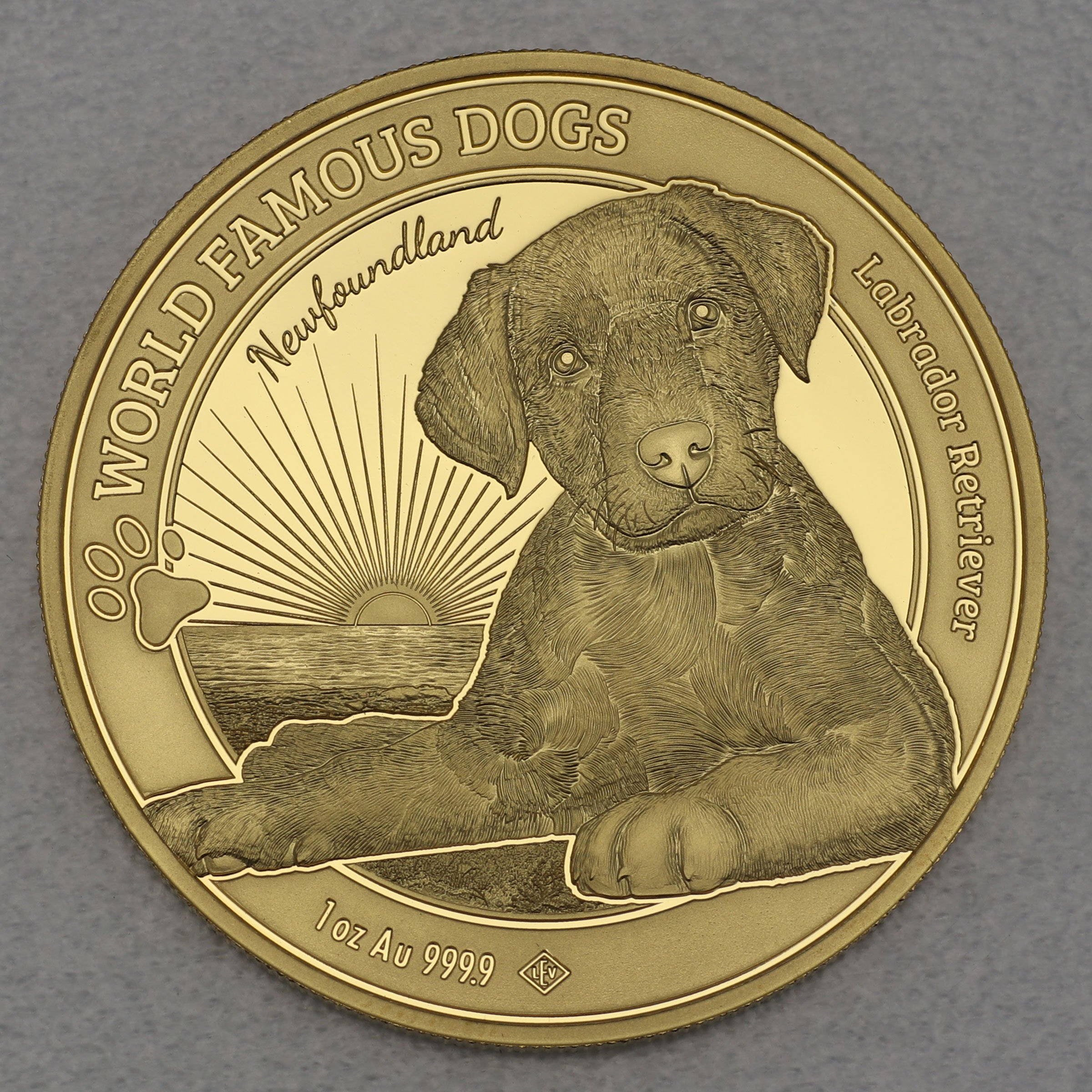Goldmünze 1oz "Labrador" 2023 World Famous Dogs (Kamerun) - Hauptansicht