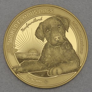 Goldmünze 1oz "Labrador" 2023 World Famous Dogs (Kamerun) - Hauptansicht