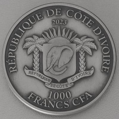 Silbermünze 1oz "Leopard" 2023 Antik Finish HR Big Five (Elfenbeinküste) - Miniaturansicht 2