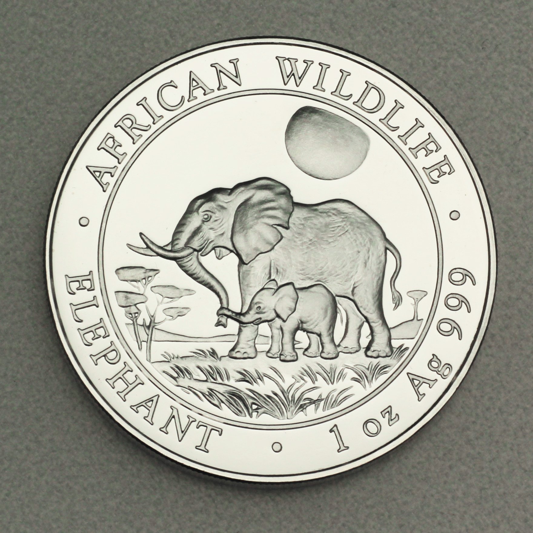 Silbermünze 1oz "Elefant" 2011 African Wildlife (Somalia) - Hauptansicht