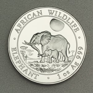 Silbermünze 1oz "Elefant" 2011 African Wildlife (Somalia) - Hauptansicht