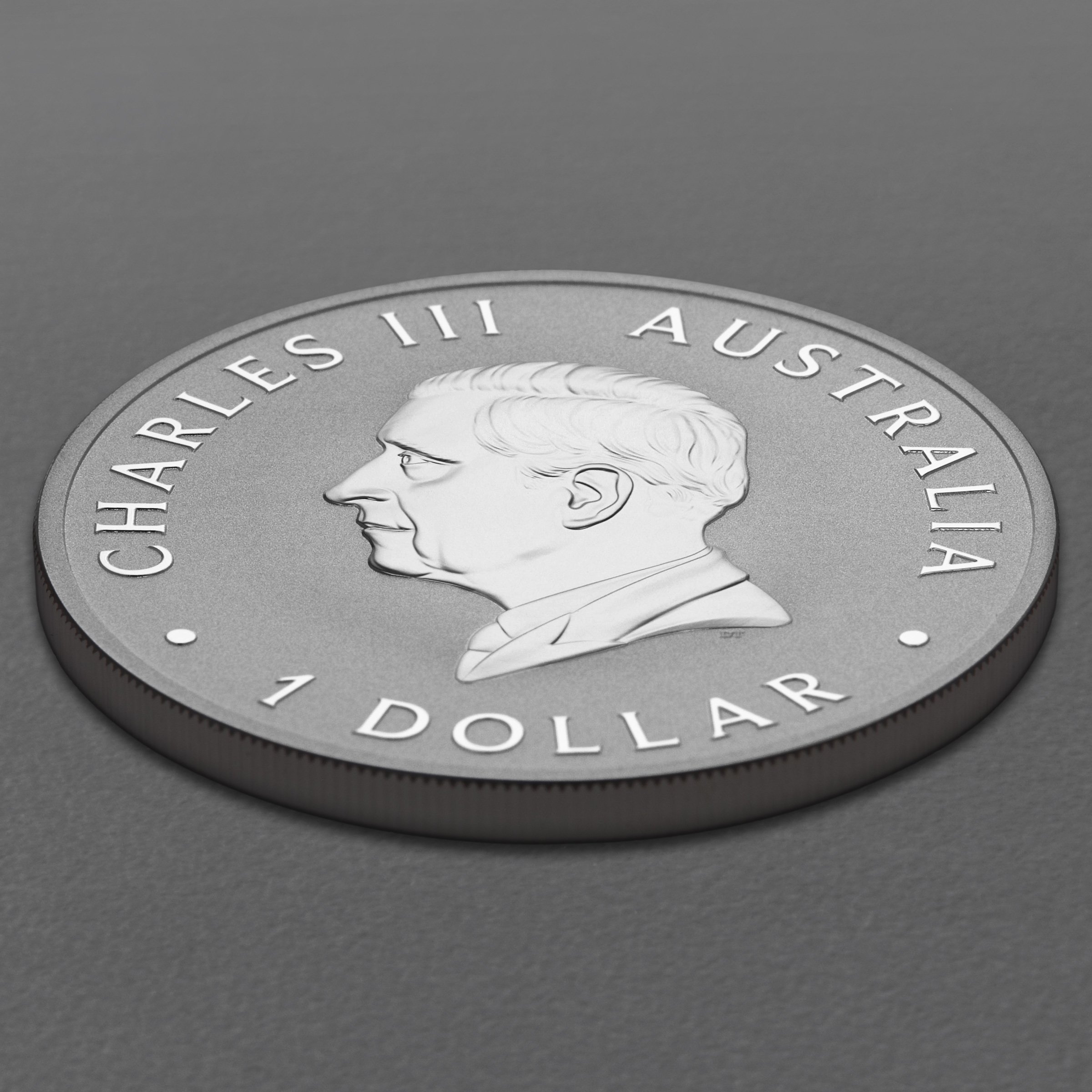 Silbermünze 1oz "Schwan" 2026 (koloriert) Perth Money Expo ANDA Coin Show Special (Australien) - Detailansicht 3