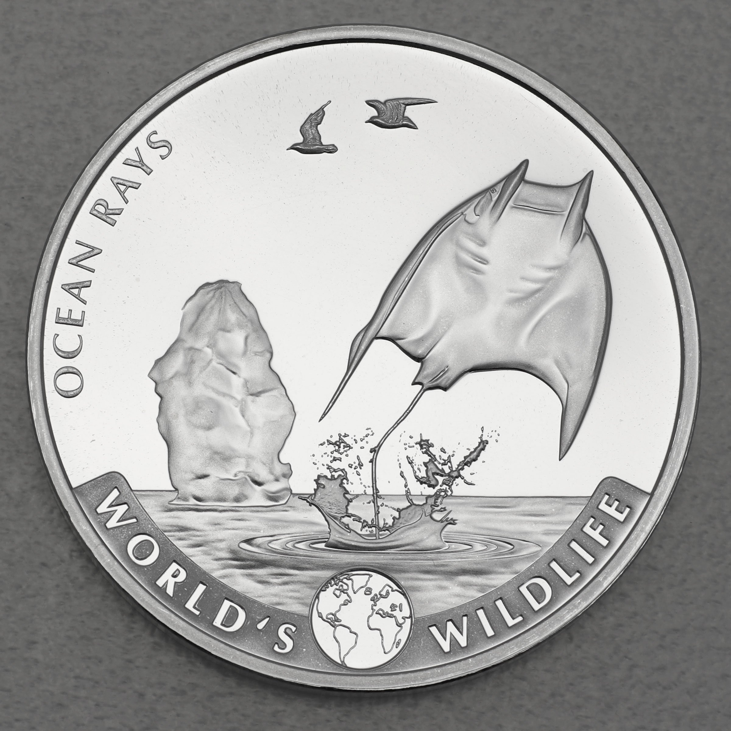 Silbermünze 1oz "Rochen" 2023 World s Wildlife 19% (Kongo) - Hauptansicht