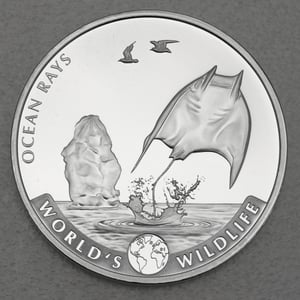 Silbermünze 1oz "Rochen" 2023 World s Wildlife 19% (Kongo) - Hauptansicht