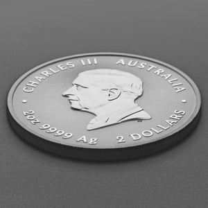 Silbermünze 2oz "Pferd" 2026 Lunar III – Year of the Horse 19% (Australien) - Miniaturansicht 4