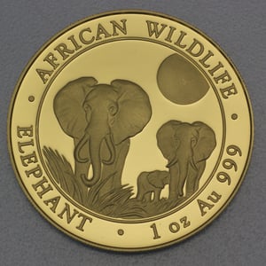 Goldmünze 1oz "Elefant" 2014 African Wildlife (Somalia) - Hauptansicht