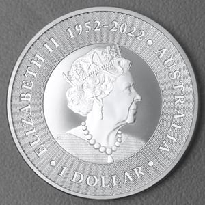 Silbermünze 250 x 1oz "Känguru" aktueller Jahrgang Masterbox (Australien) - Miniaturansicht 5