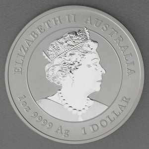 Silbermünze 1oz "Hase" 2023 (vergoldet) Lunar III – Year of the Rabbit diff. (Australien) - Miniaturansicht 2