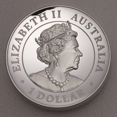 Silbermünze 1oz "Känguru" 2019 (PP/HR) (Australien) - Miniaturansicht 2