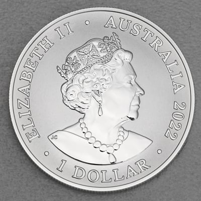 Silbermünze 1oz "Dusky Dolphin" 2022 (RAM) (Australien) - Miniaturansicht 2