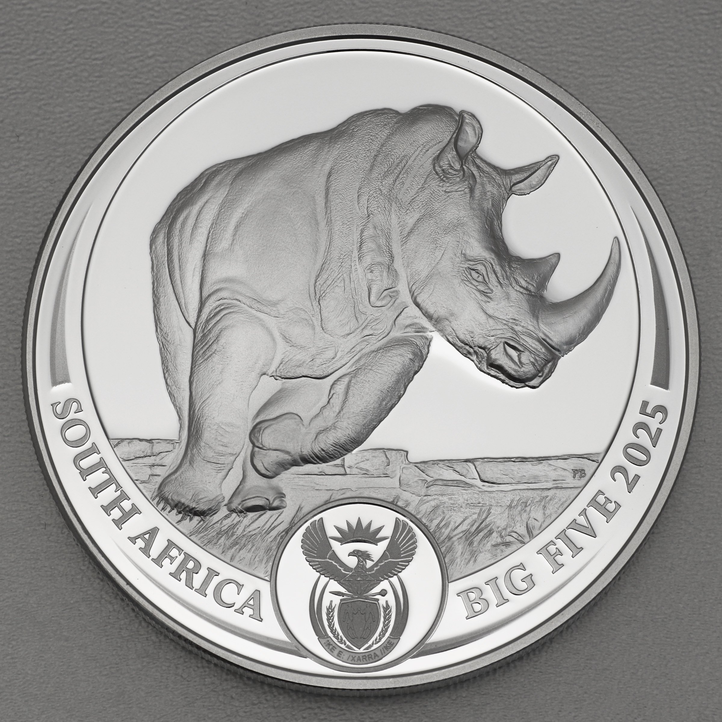 Silbermünze 5oz "Nashorn" 2025 (PP) Big Five III (Südafrika) - Hauptansicht
