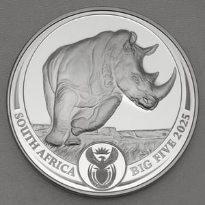 Silbermünze 5oz "Nashorn" 2025 (PP) Big Five III (Südafrika) - Hauptansicht